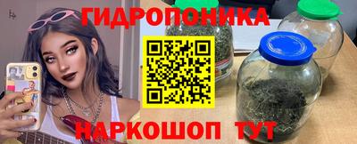 Альфа ПВП Камышлов