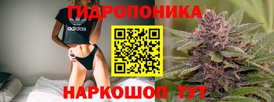 каннабис Кандалакша