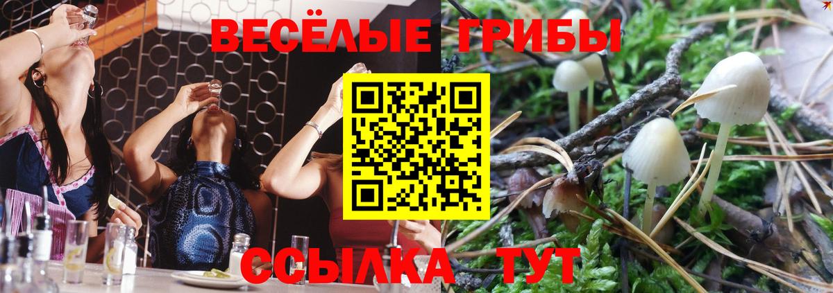 Псилоцибиновые грибы GOLDEN TEACHER  Галлюциногенные грибы Psilocybe  магазин  наркотиков  Вход с VPN  Майский 